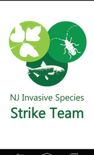 NJ Invasives 1