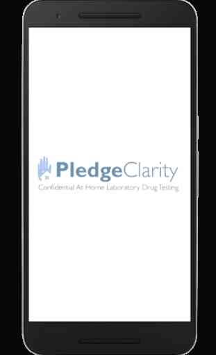 Pledge Clarity 1