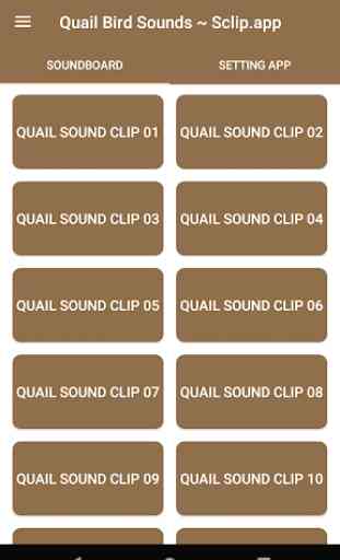 Quail Bird Sounds ~ Sclip.app 1