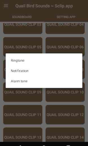 Quail Bird Sounds ~ Sclip.app 3