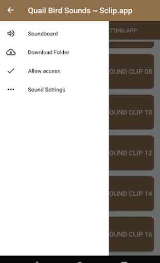Quail Bird Sounds ~ Sclip.app 4