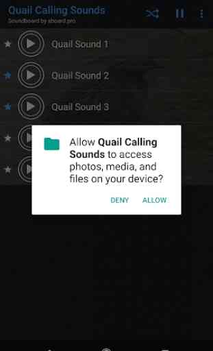 Quail Calling Sounds 2