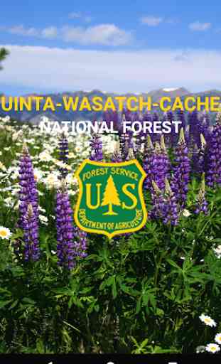 Uinta-Wasatch-Cache National Forest 1