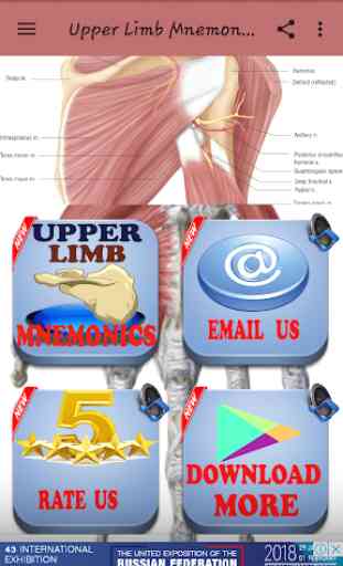 Upper Limb Mnemonics 4