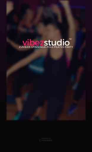 Vibez Studio 1