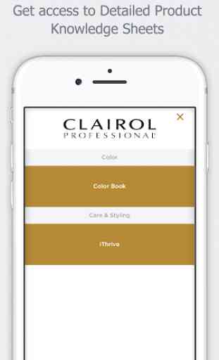 Clairol Professional 3