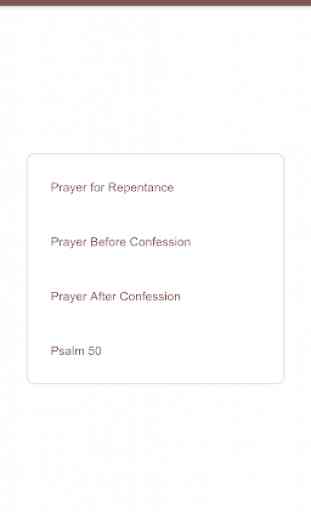 Confession Planner 2