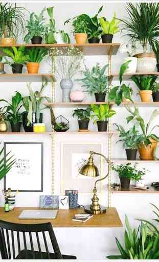 DIY Creative Indoor Houseplant Idea 3