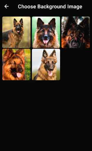 Dog German Shepherd Puppy Cute Live Wallpapers 3