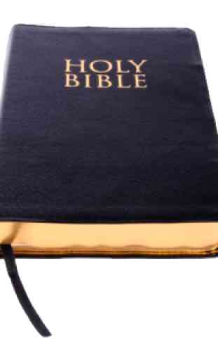 English Bible: The Daily Bread 1