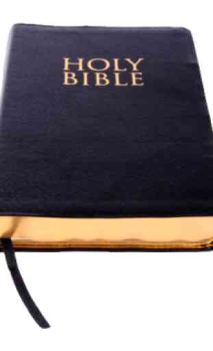 English Bible: The Daily Bread 2