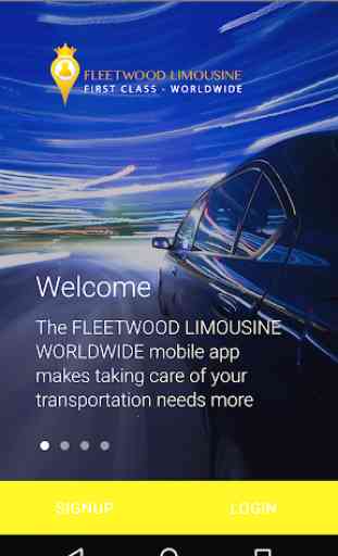 FLEETWOOD LIMOUSINE WORLDWIDE 1
