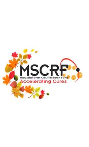 MD Stem Cell Research Fund 1