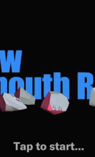 New Plymouth Rocks 4