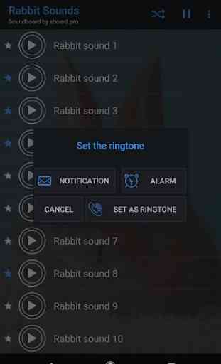 Rabbit sounds ~ Sboard.pro 3