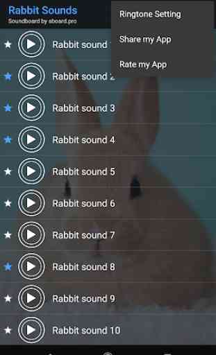 Rabbit sounds ~ Sboard.pro 4