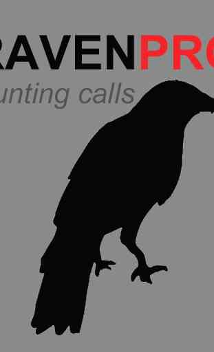 Raven Calls for Hunting 1