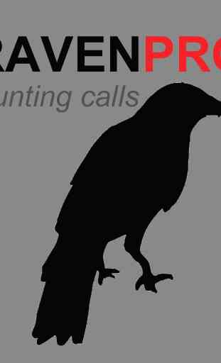 Raven Sounds for Hunting 1
