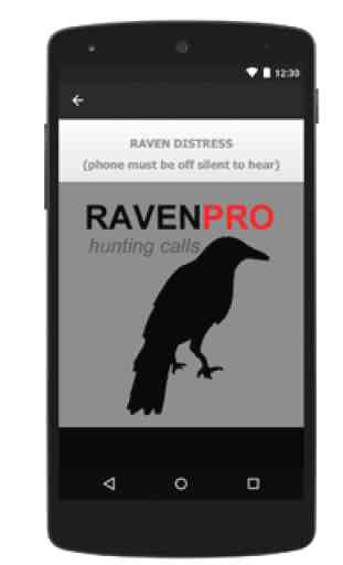 Raven Sounds for Hunting 2