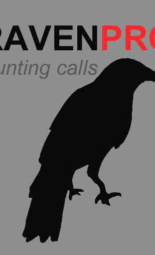 Raven Sounds for Hunting 4