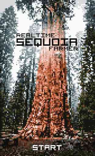 Realtime Sequoia Farmer 1