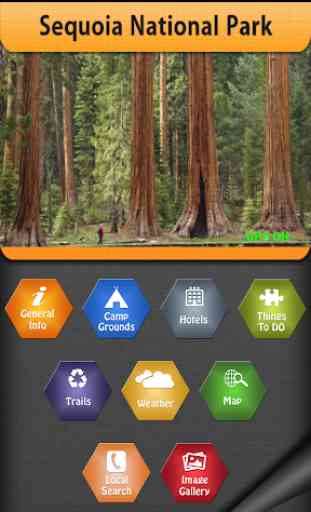 Sequoia National Park Guide 1