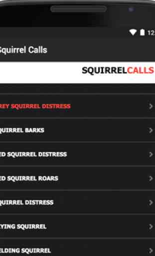 Squirrel Calls -BLUETOOTH 2
