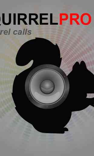 Squirrel Calls -BLUETOOTH 4