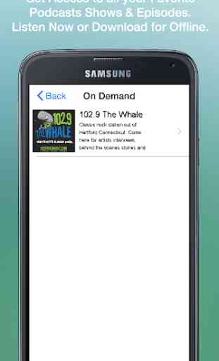 102.9 The Whale 3