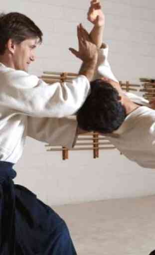 Aikido and Karate exercises. Self Defense 2