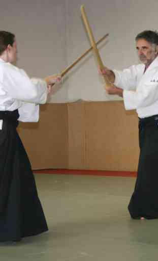 Aikido and Karate exercises. Self Defense 3