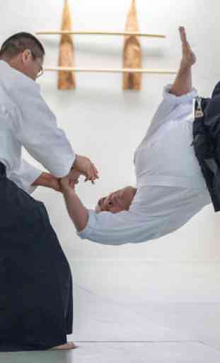 Aikido and Karate exercises. Self Defense 4