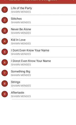 All Shawn Mendes Songs Lyrics 2