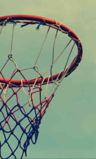 Basketball. Sports Wallpapers 1