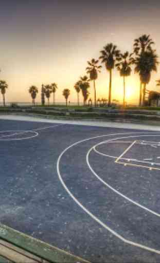 Basketball. Sports Wallpapers 2
