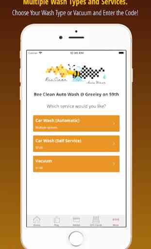 Bee Clean Auto Wash 3
