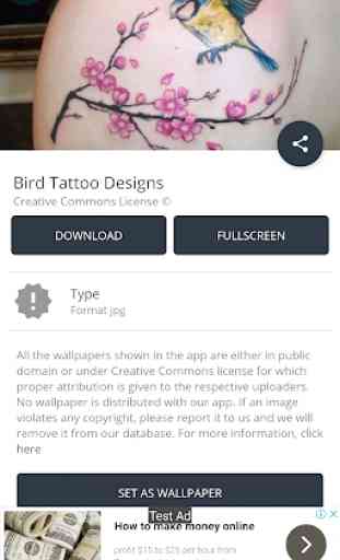 Bird Tattoo Designs 3