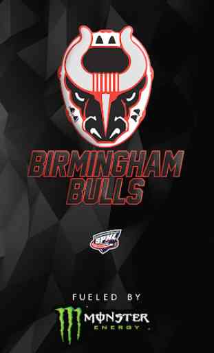 Birmingham Bulls 1
