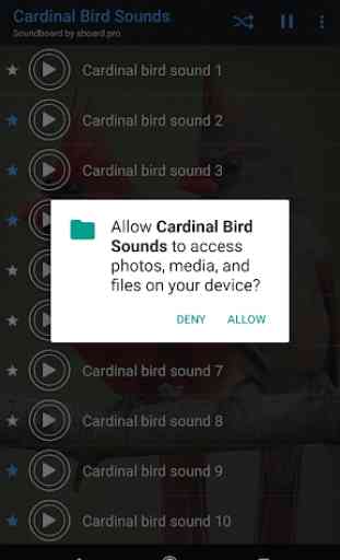 Cardinal Bird Sounds ~ Sboard.pro 2