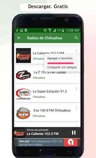 Chihuahua radios 4
