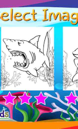 Coloring Book Sharks 3
