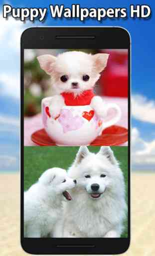 Cute Puppy Wallpapers HD 2
