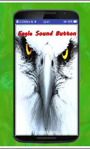 Eagle Sound Button 1