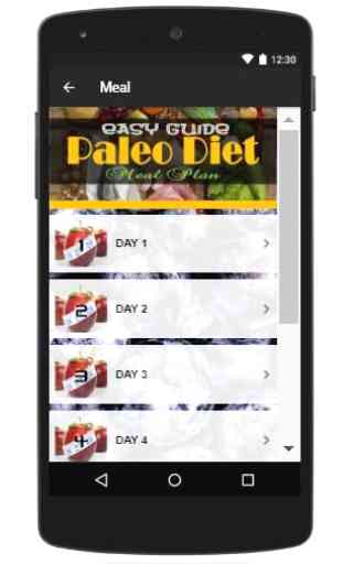 Easy Guide Paleo Diet Meal Plan 2
