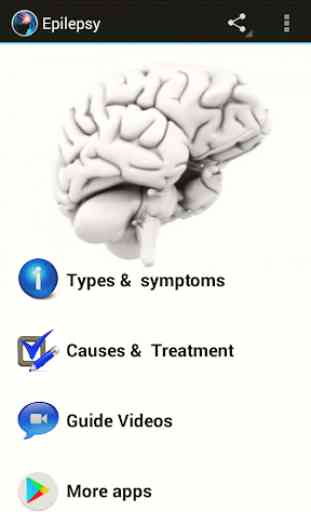 Epilepsy Guide 1