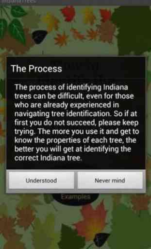 Indiana Trees 1