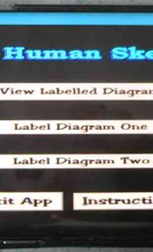 Label That Diagram - Human Skeleton 2