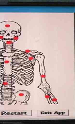 Label That Diagram - Human Skeleton 4