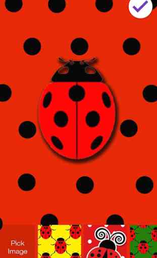 Ladybug HD Lock 3