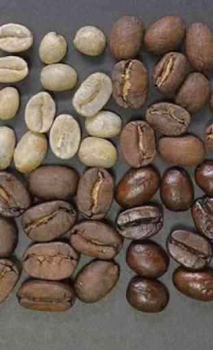 Learn Roasting Coffee 3